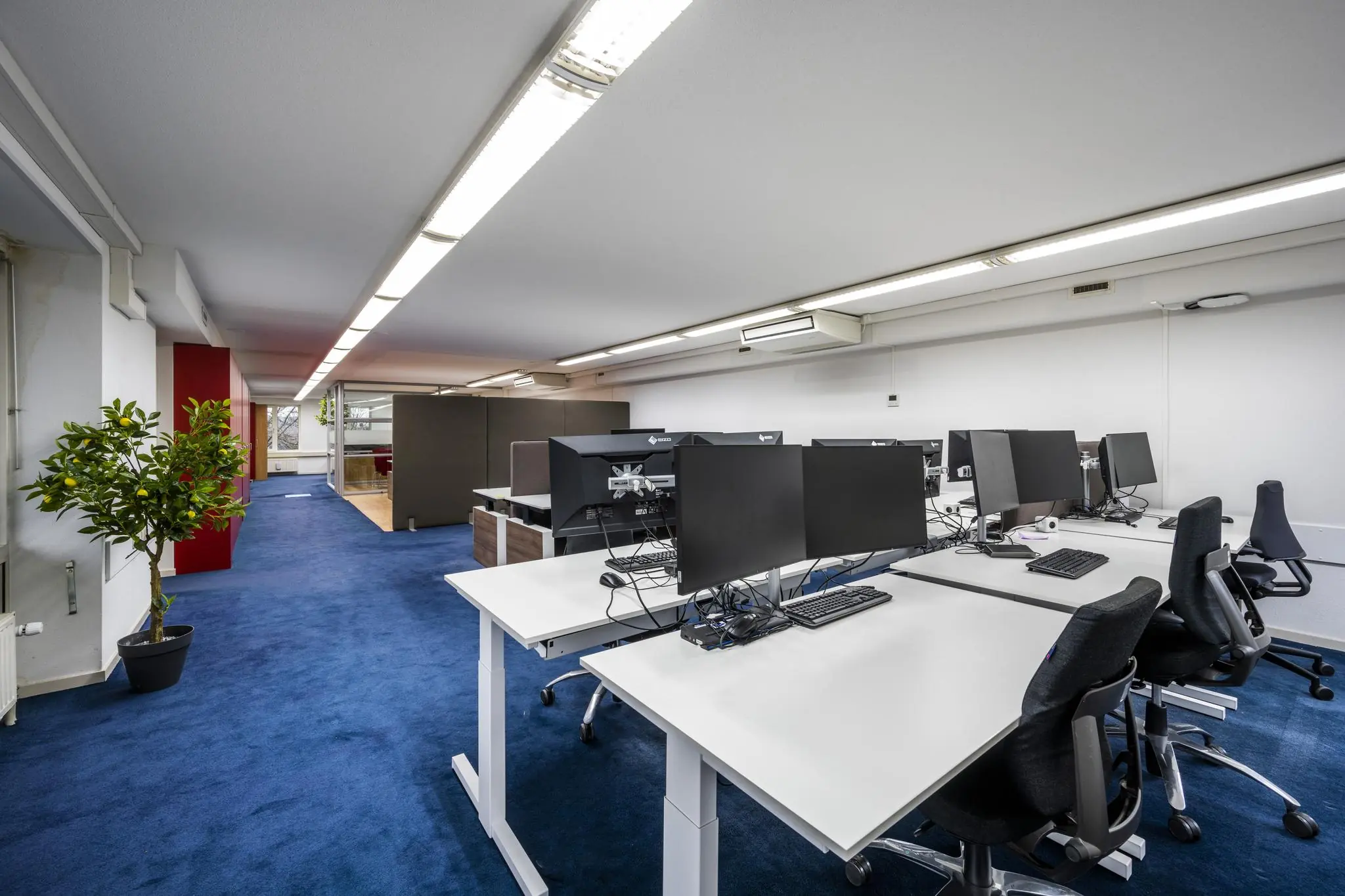 Modern kantoorinterieur aan de Prins Hendrikkade met werkplekken, computerschermen en blauwe vloerbedekking.